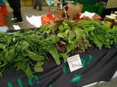 -耶拉契奇总督广场