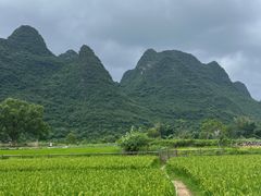 -生态苑农庄(十里画廊遇龙河店)