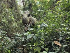 -海南热带野生动植物园