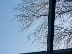 -VOYAGE COFFEE(北锣鼓巷店)