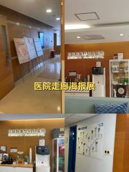 -杭州贝瑞斯美华妇儿医院·早孕·产检·儿科