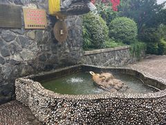 -烟台山景区