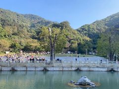 -阳台山森林公园