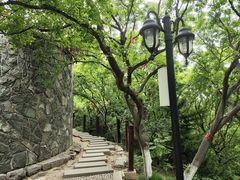 -烟台山景区