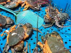 -盒马鲜生(杭州运河上街店)