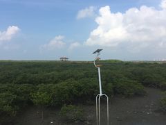 -北海金海湾红树林生态旅游区