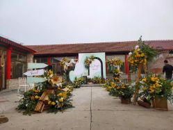 -Sunny喜铺婚礼策划(东部店)