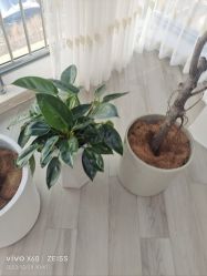 -HEYAN荷妍专业脱毛连锁机构