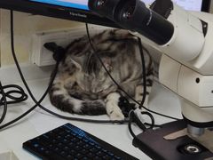 -康乐宝动物医院