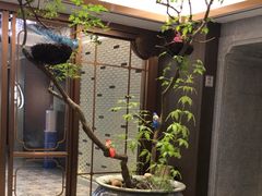 -广州酒家(中华广场店)