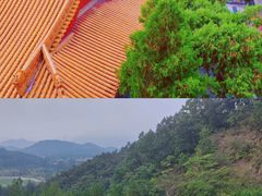 -中原大佛景区