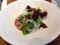 iphone_upload_pic-植物园哈利亚餐厅