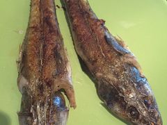 煎鱼-舜和巴西烤肉餐厅(舜和国际店)