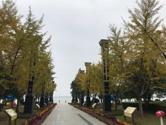 -燕鸣岛