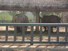 -石家庄市动物园