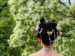 -国家植物园南园