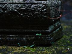 -宁波市保国寺古建筑博物馆