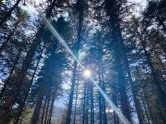 -硗碛藏寨·神木垒景区