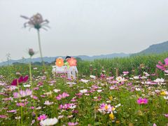 -木洞河街