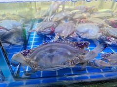 -来之顺海鲜菜馆·青岛菜·始于1993(栈桥店)