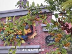 -无锡融创乐园