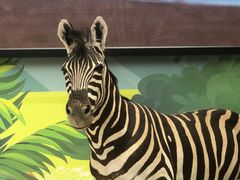 -陕西自然博物馆