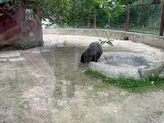 -青藏高原野生动物园