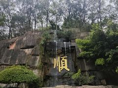 -三水森林公园