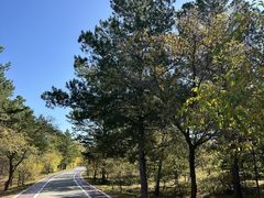 -北京西山国家森林公园