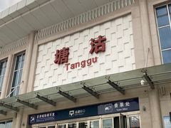 -塘沽站