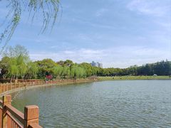 -黄兴公园
