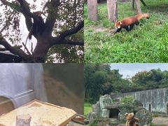 -宁波野生动物园
