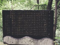 -终南山国家森林公园