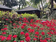 -大妙火锅·非物质文化遗产(东湖公园店)