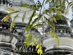 -西双版纳总佛寺
