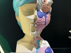 -泡泡玛特POPMART(西单大悦城店)