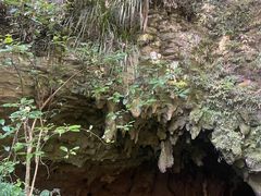 -怀托摩萤火虫洞