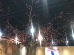 -沐熙汤泉(新安里店)