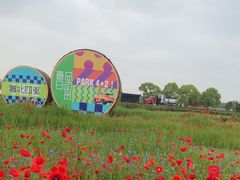 -嘉北郊野公园