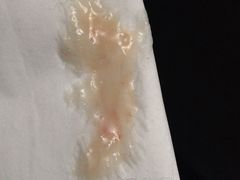 -守诺宠物医院·眼科· 特色牙科·异宠专科(虹口店)