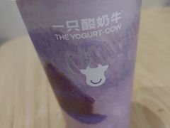 -一只酸奶牛(海珠店)