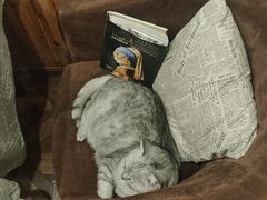 -隅cafe(傅厚岗店)