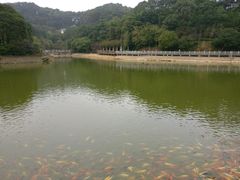 -广州市帽峰山景区