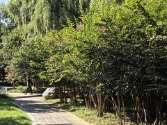 -国家植物园南园