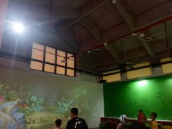 -恐龙探索乐园(磁器口店)