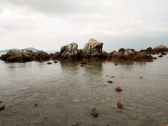 -西涌国际滨海旅游区