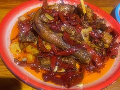 -柴窝堡22号辣子鸡·传承新疆菜