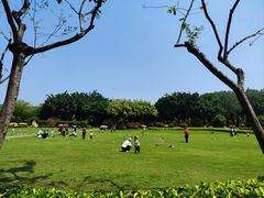 -白鹭洲公园