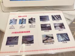 -希梵尔头皮抗衰·科技养发