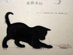-研途咖啡馆(健康路店)